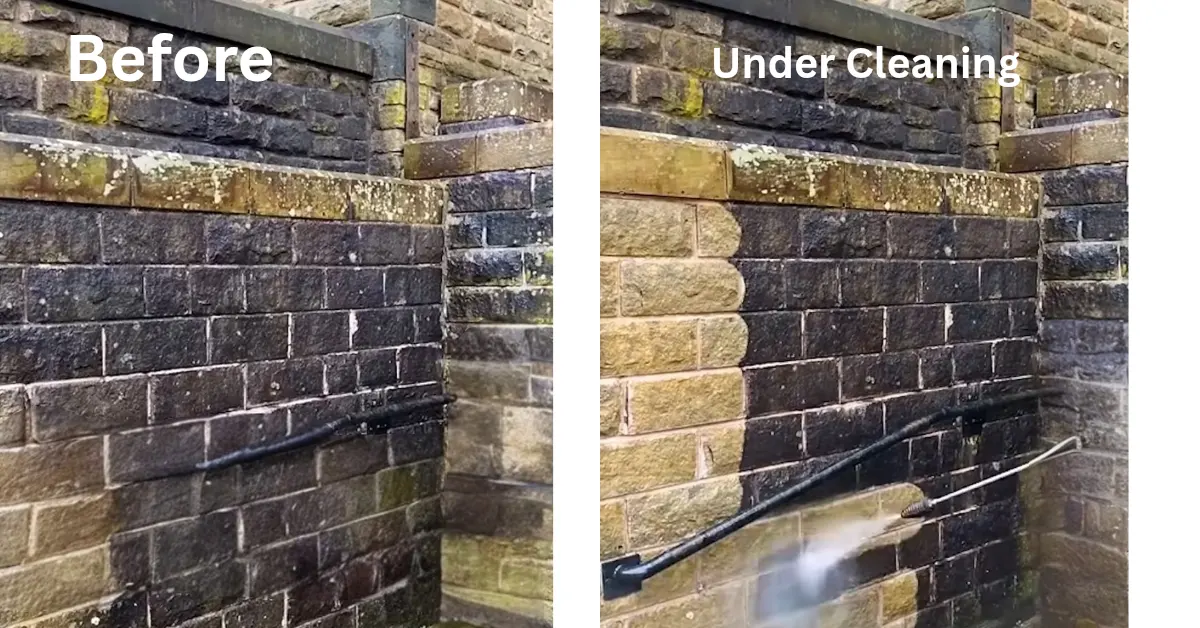 cleaning process in rochester
