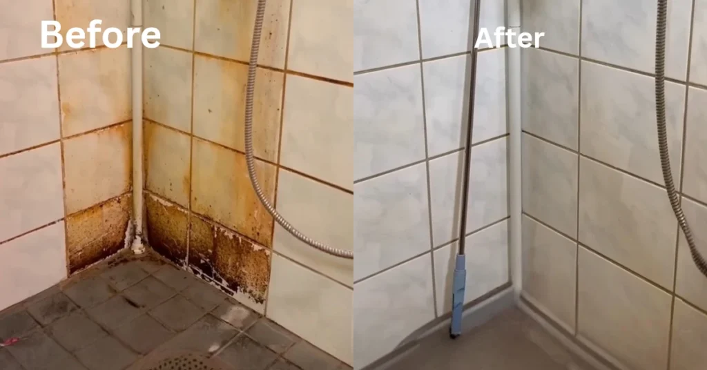 file name surface disinfection services in rochester ny