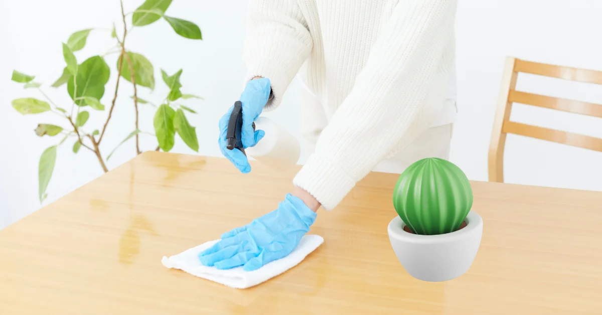 file name Home cleaning services in Penfield, NY